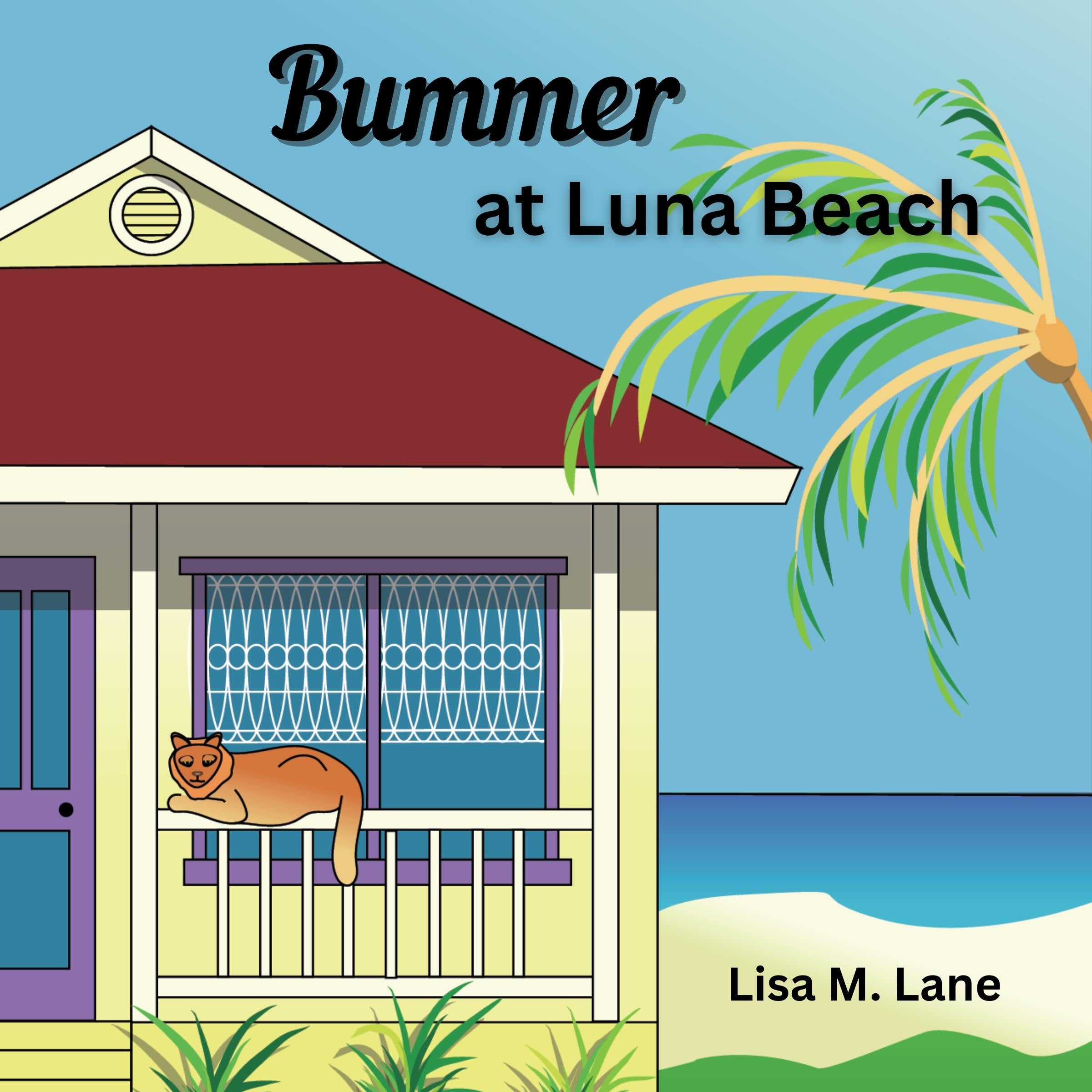 Bummer at Luna Beach