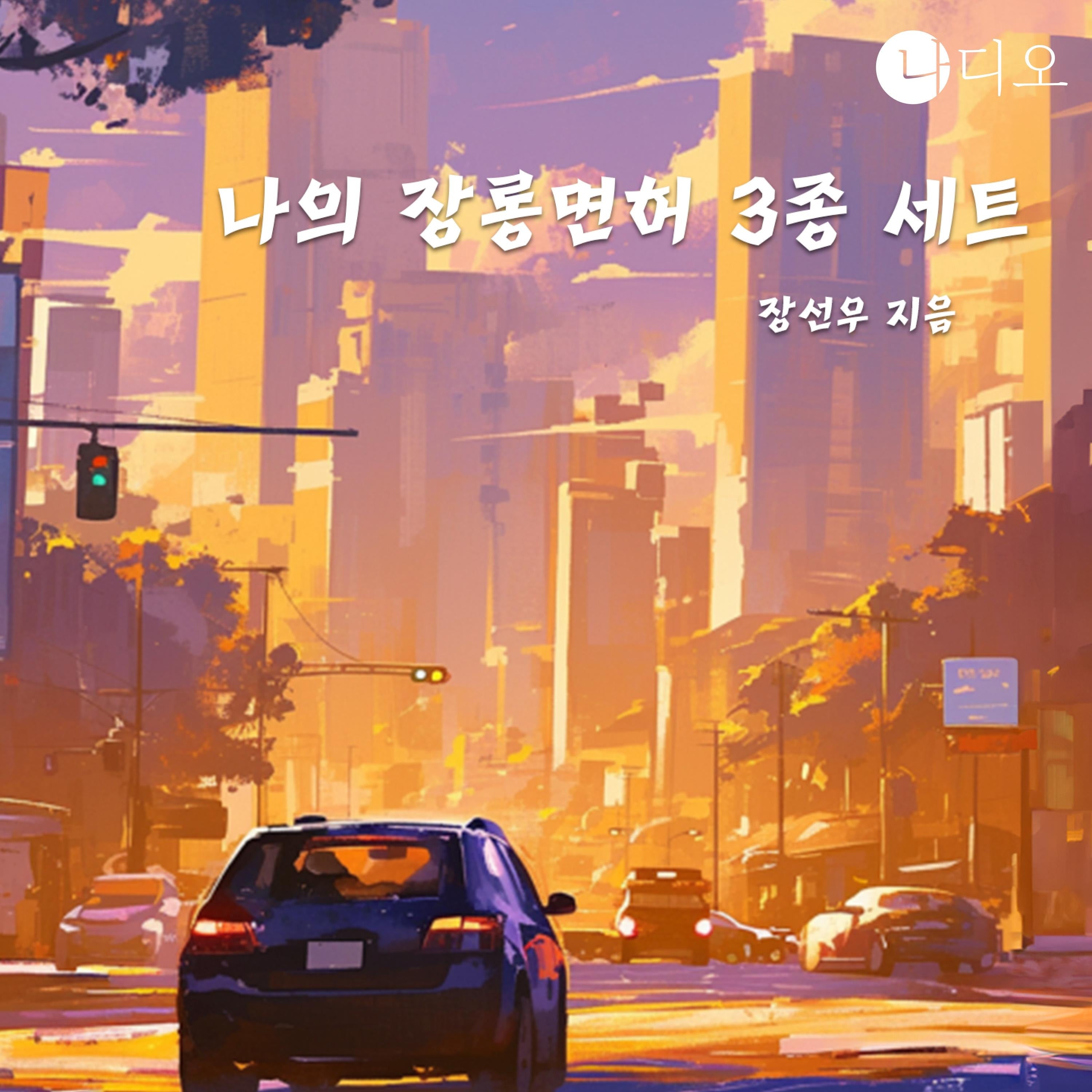 나의 장롱면허 3종 세트