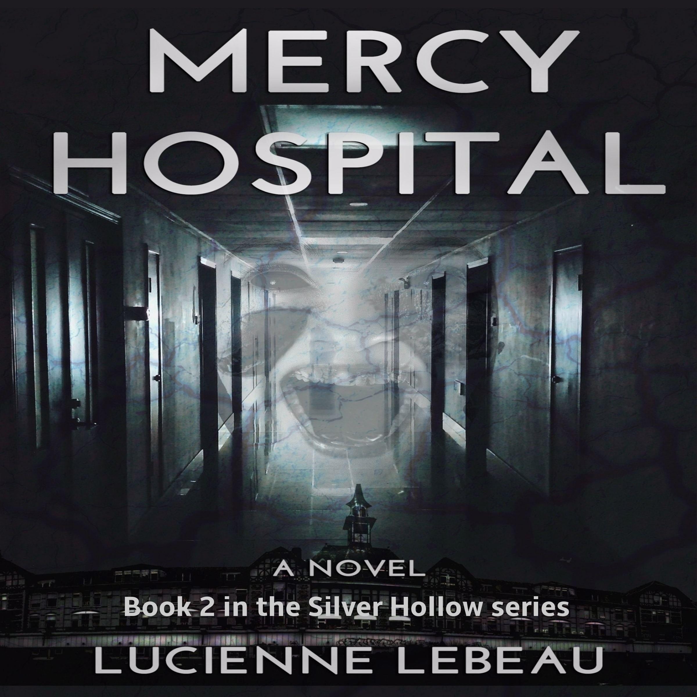 Mercy Hospital: Book 2 in the Silver Hollow series