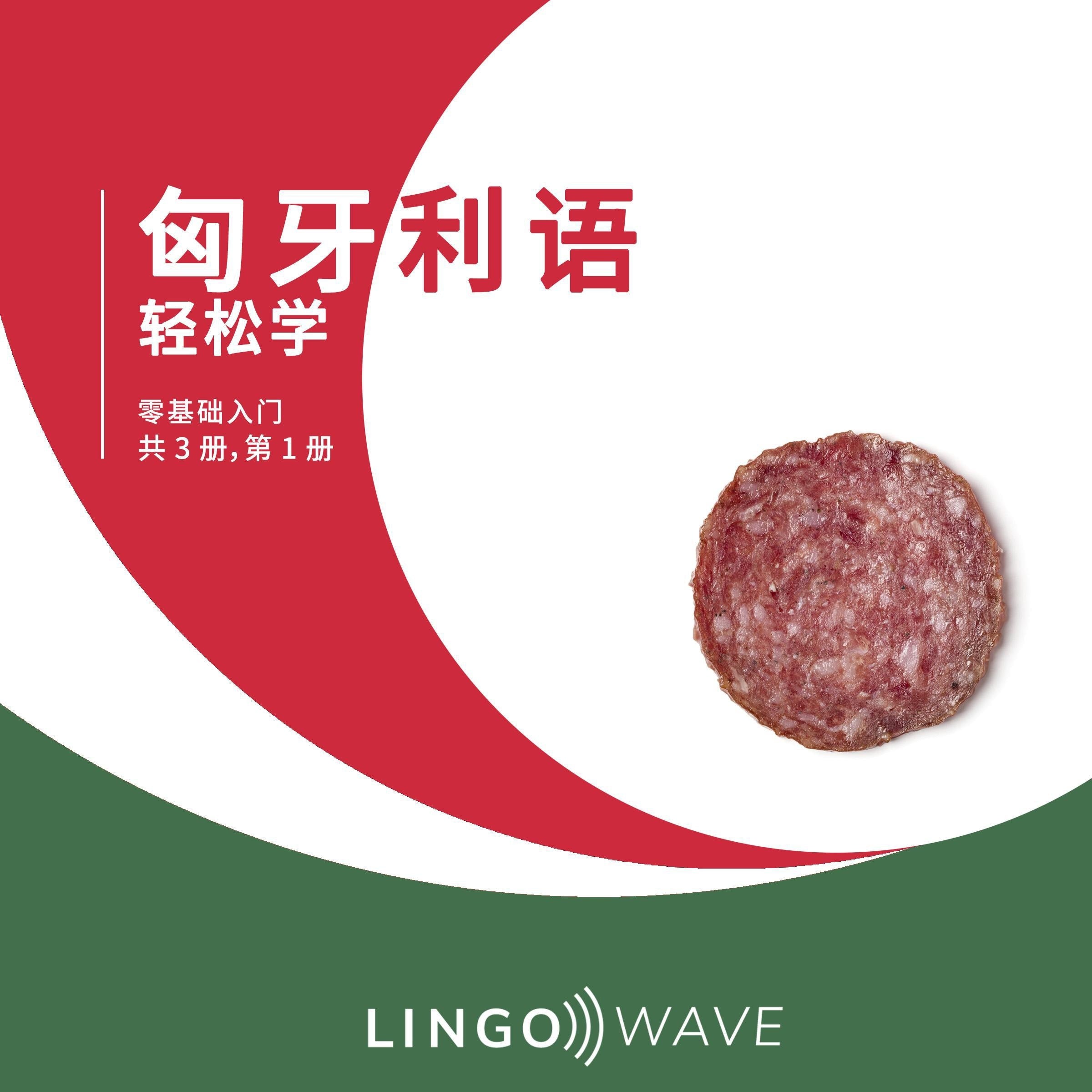 匈牙利语 轻松学 - 零基础入门 - 共 3 册,第 1 册
