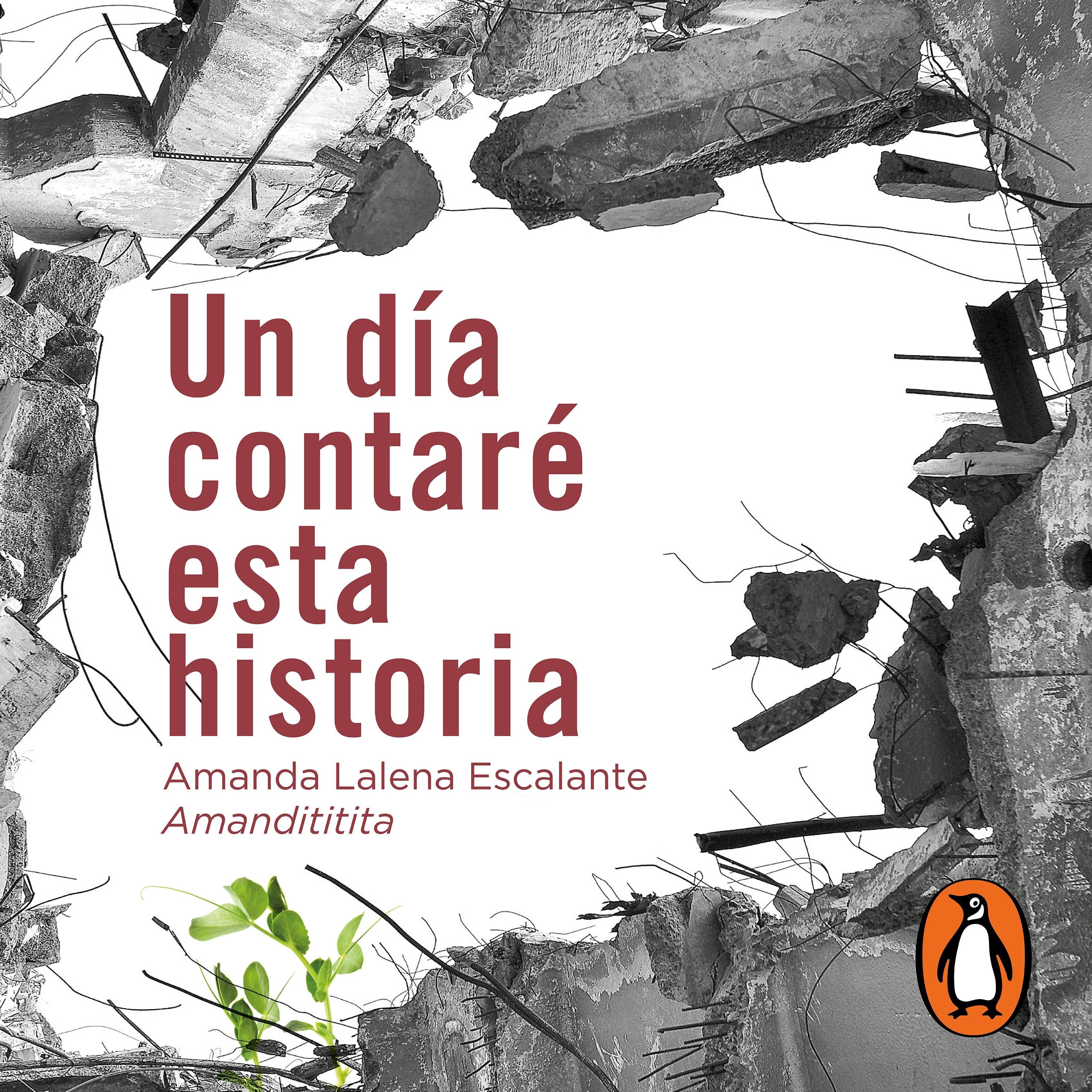 Un día contaré esta historia