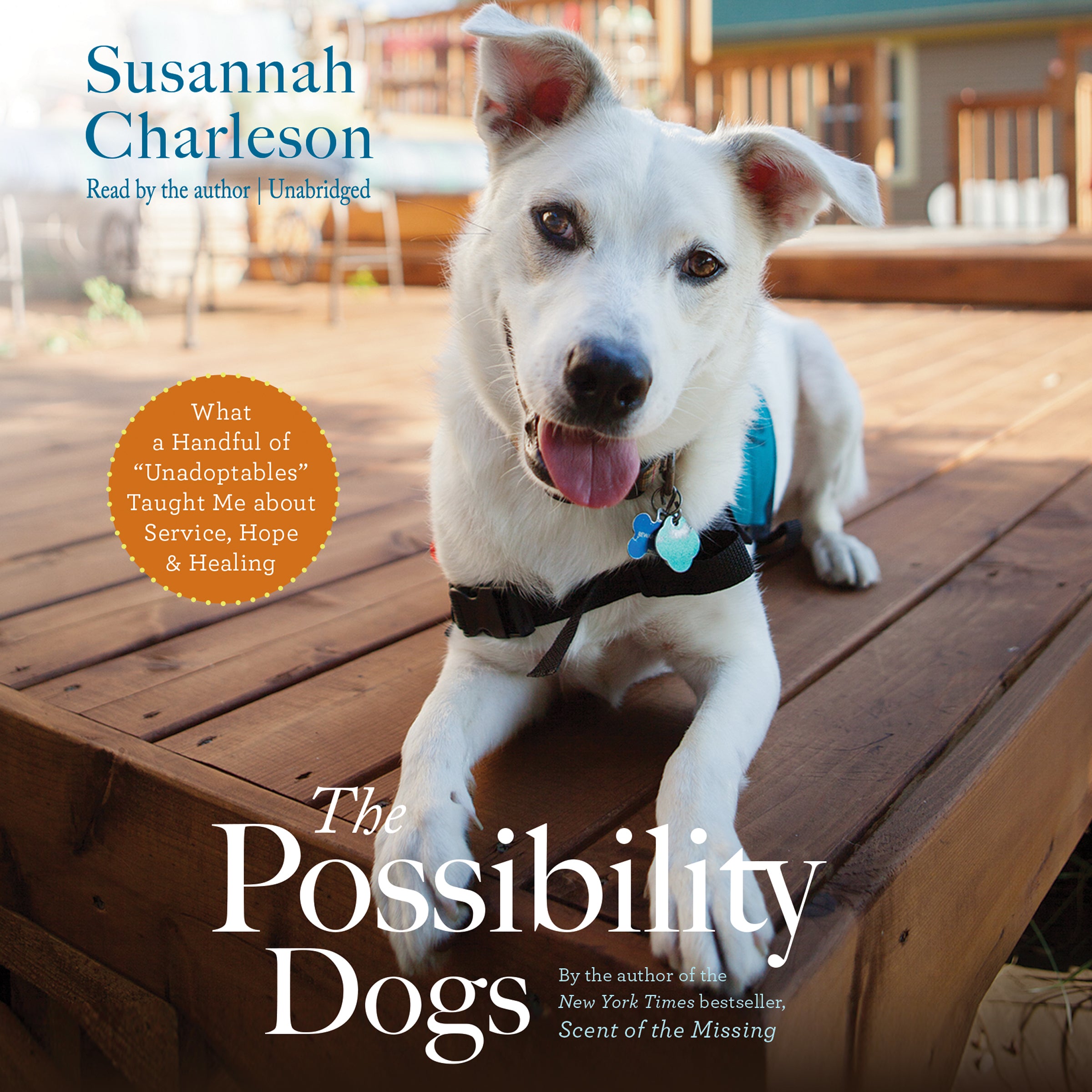 The Possibility Dogs