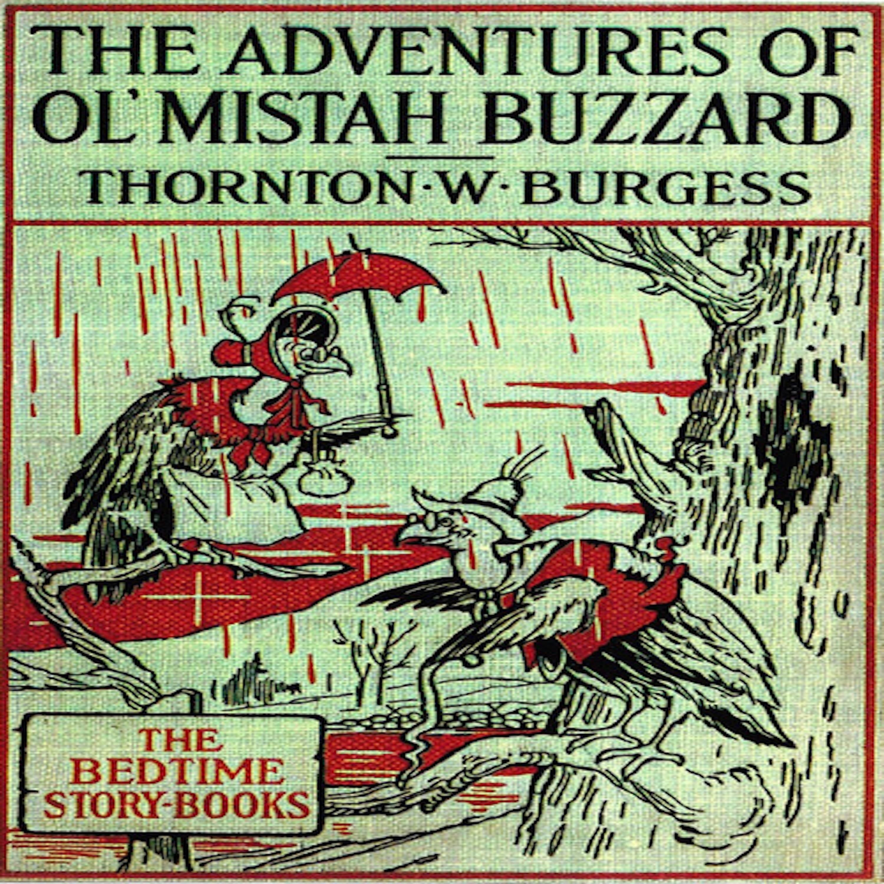 The Adventures of Old Mr. Buzzard