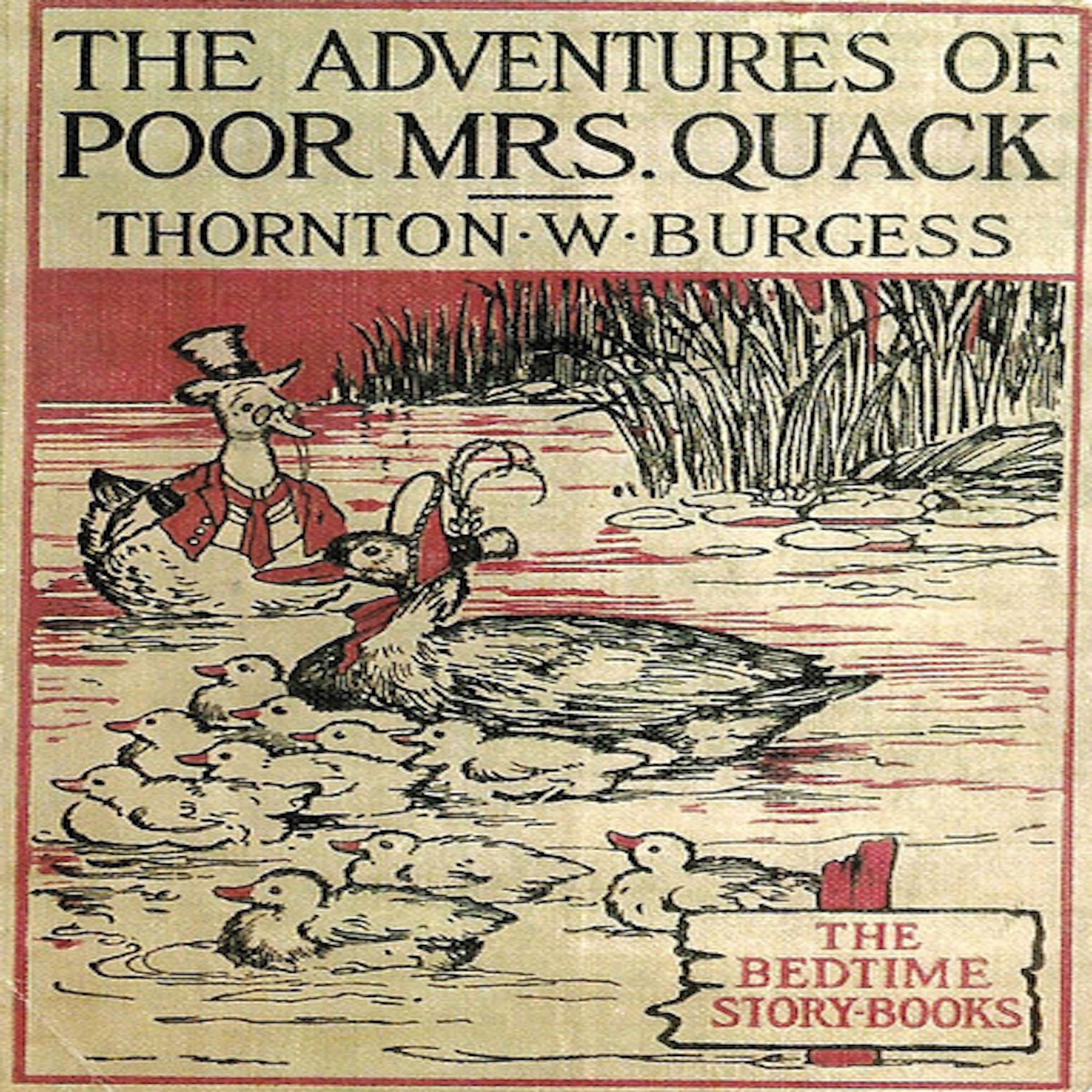 The Adventures of Poor Mrs. Quack