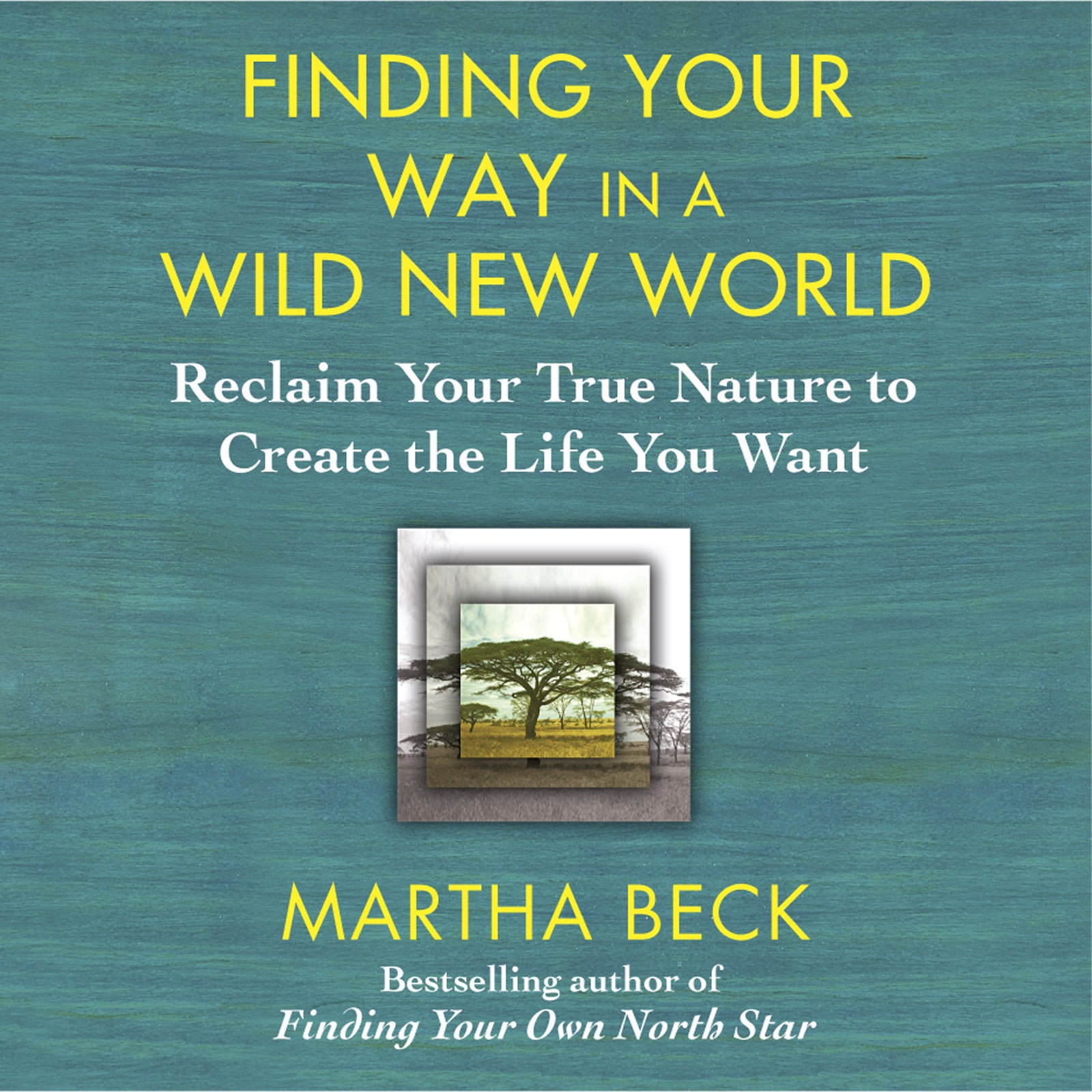 Finding Your Way in a Wild New World
