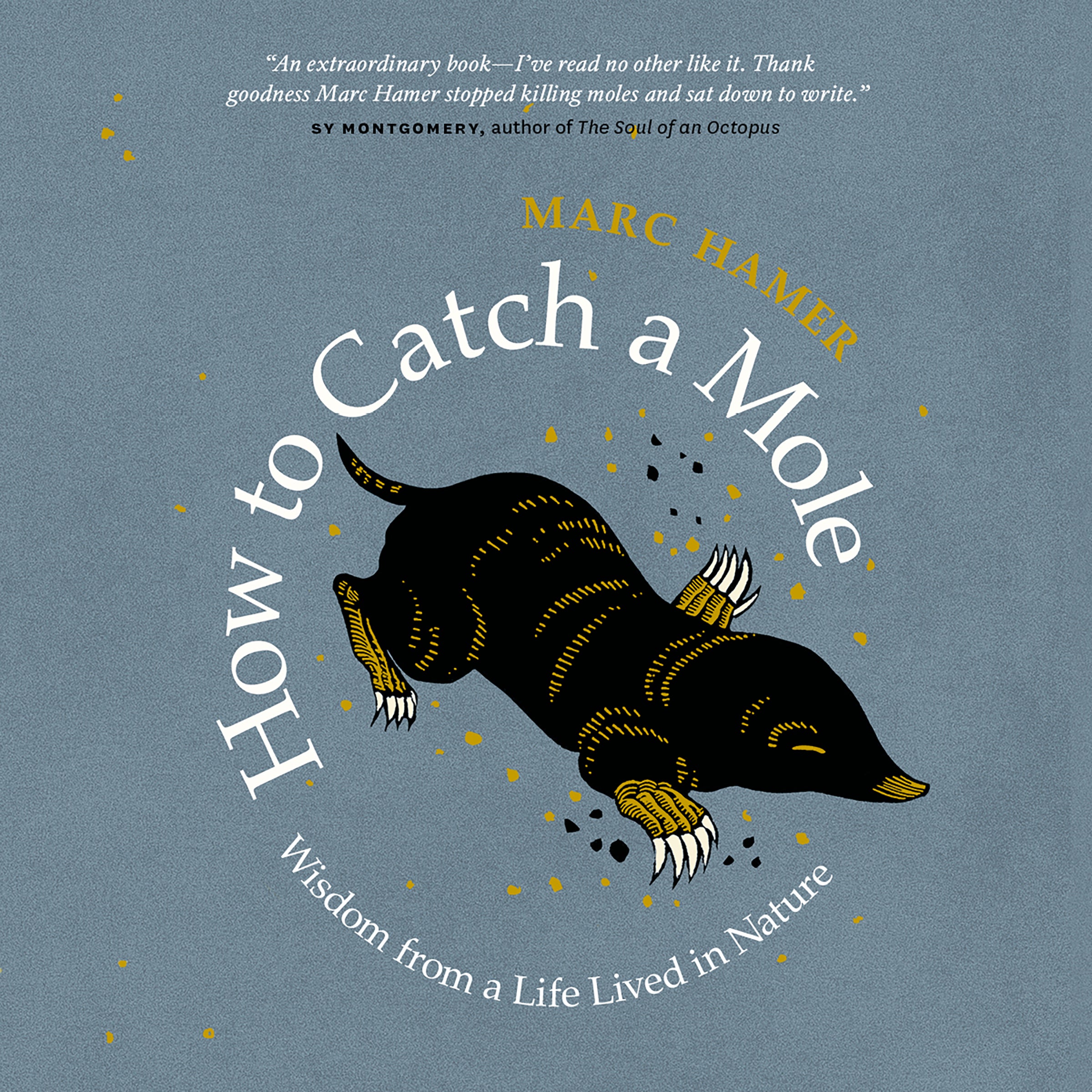 How to Catch a Mole