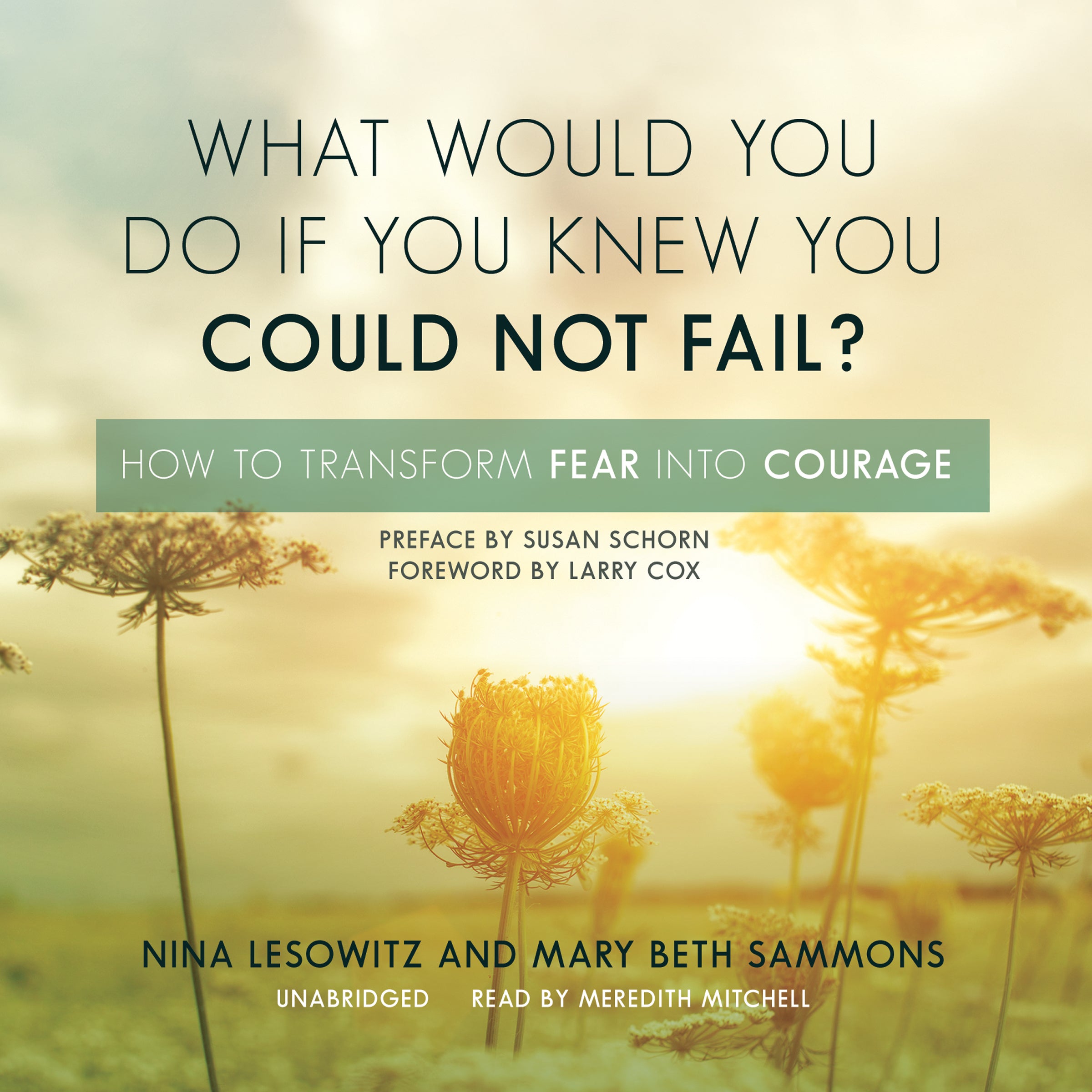 What Would You Do If You Knew You Could Not Fail?