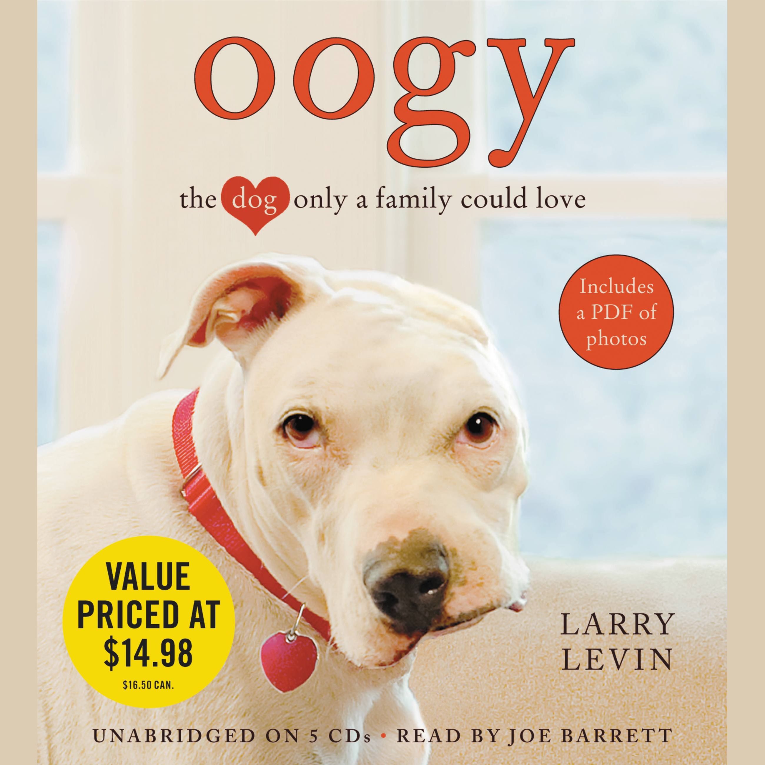 Oogy