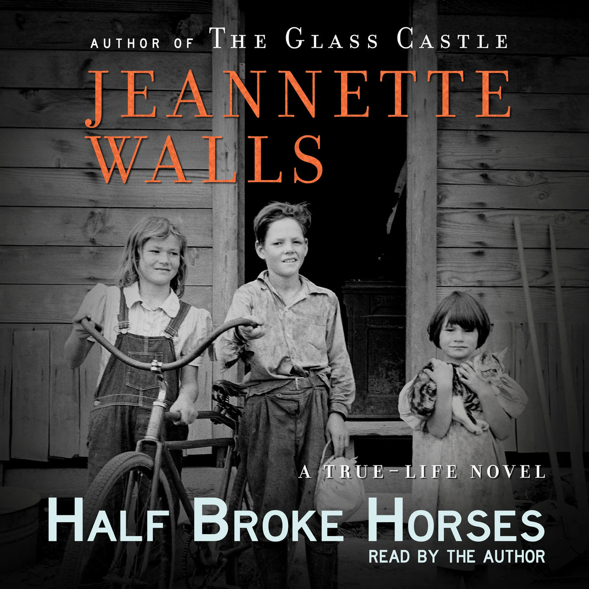 Half Broke Horses