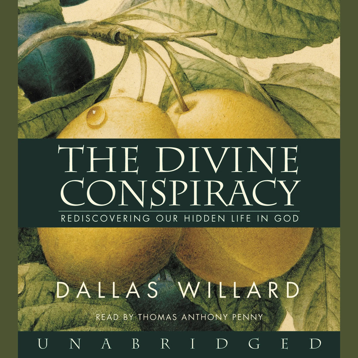 The Divine Conspiracy