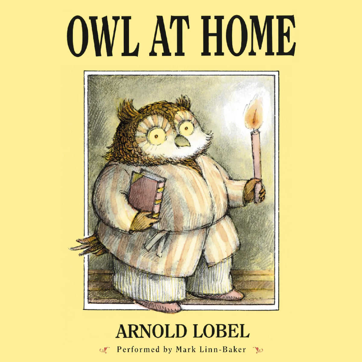 Owl at Home