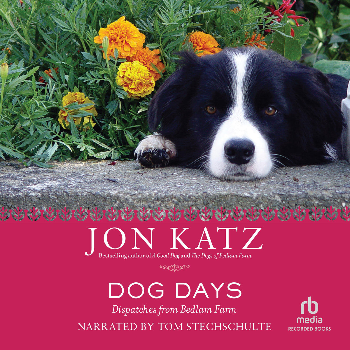 Dog Days