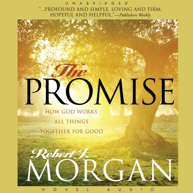 Promise