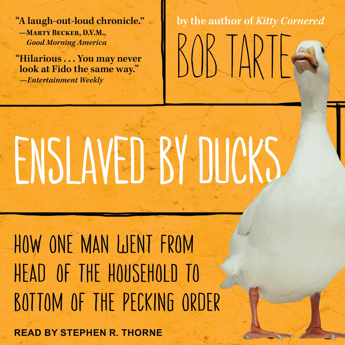 Enslaved by Ducks