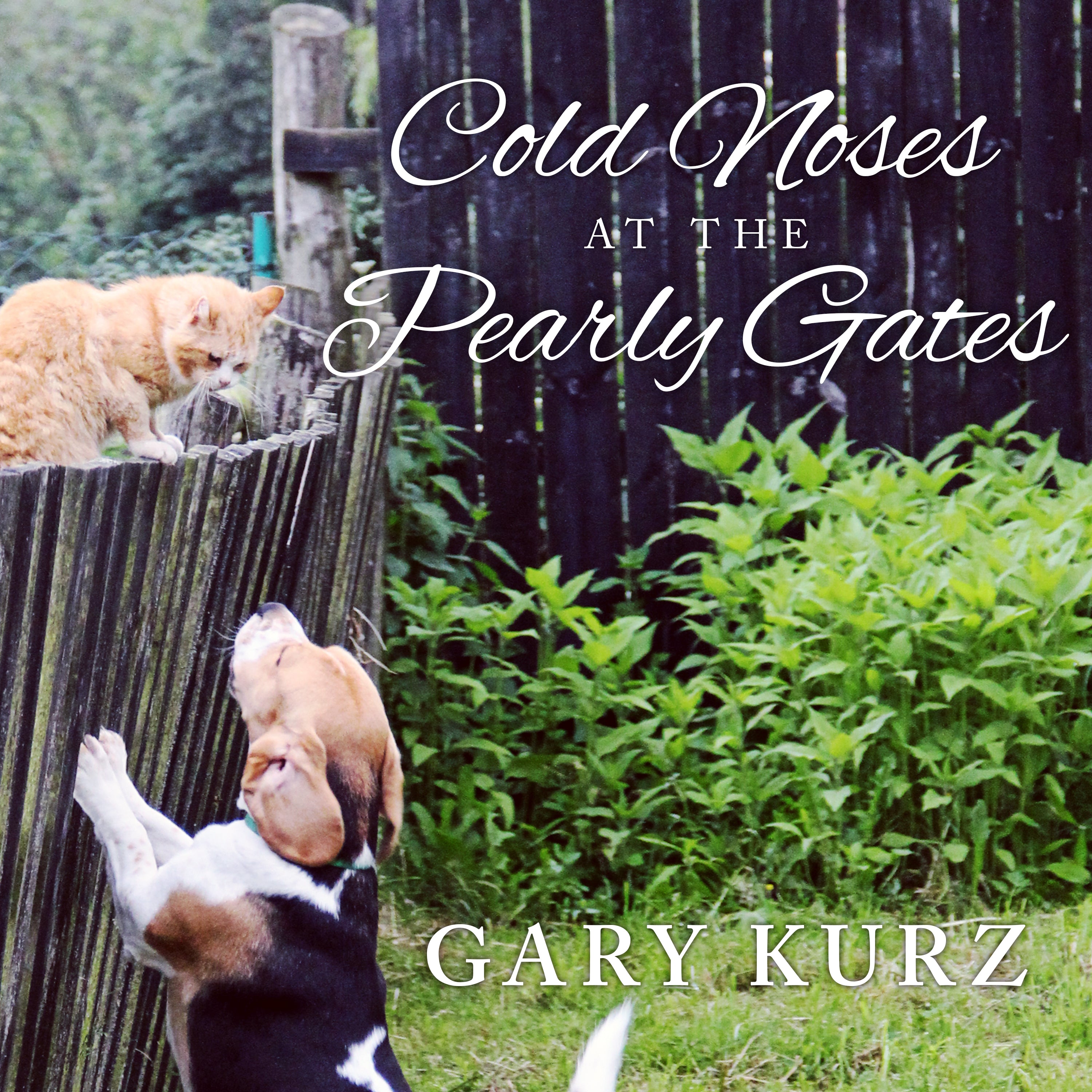 Cold Noses at the Pearly Gates