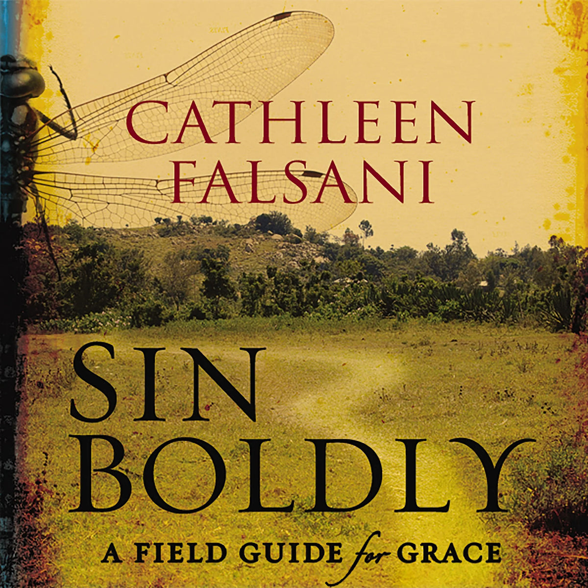 Sin Boldly