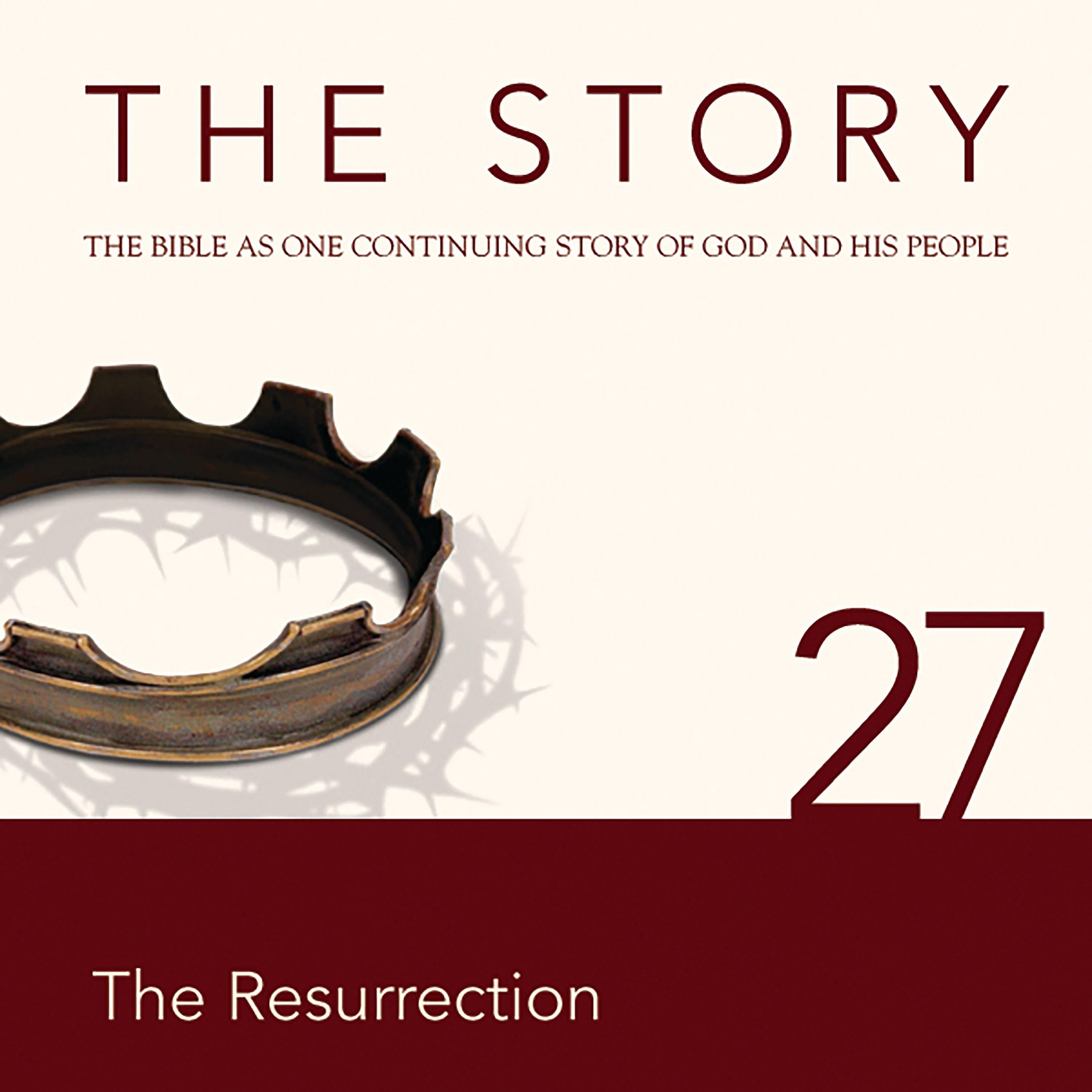 The Story Audio Bible - New International Version, NIV: Chapter 27 - The Resurrection