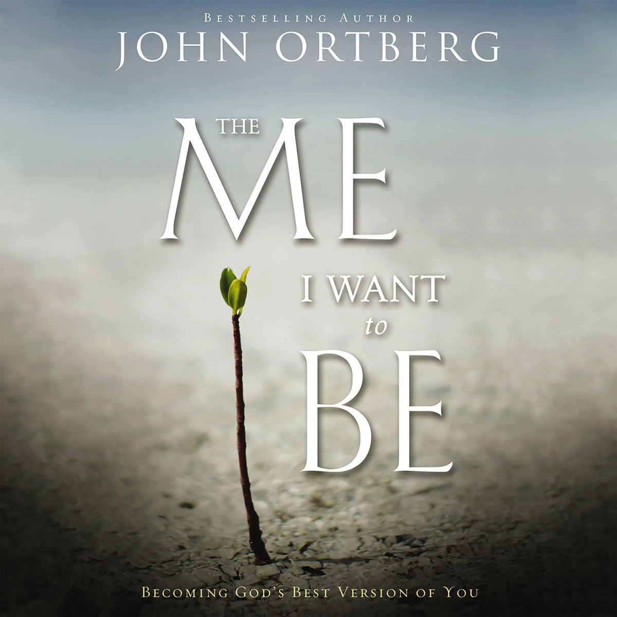 The Me I Want to Be