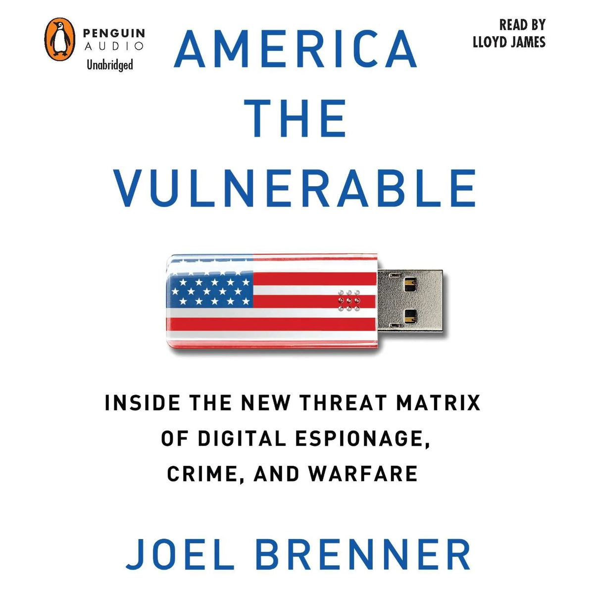 America the Vulnerable