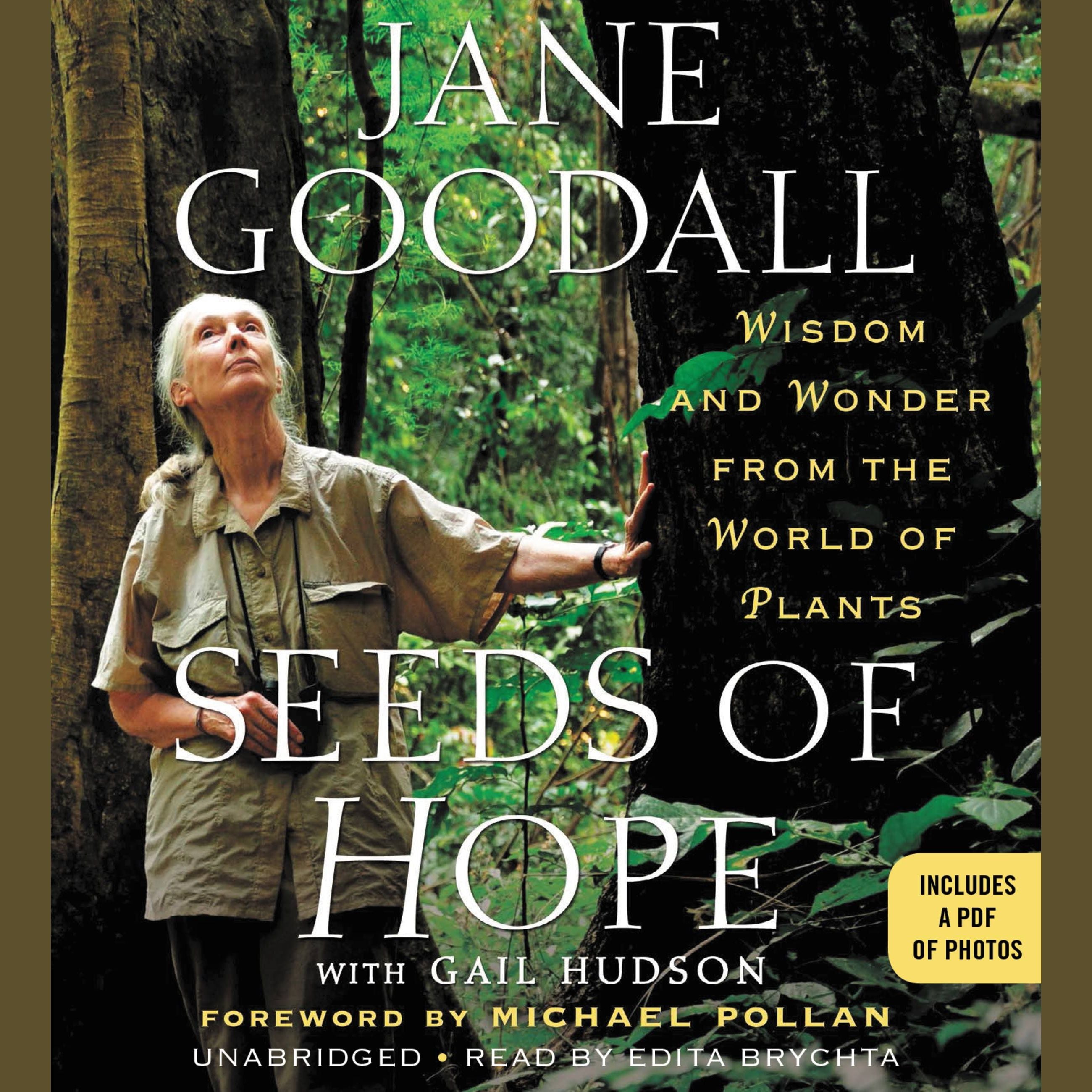 Seeds of Hope
