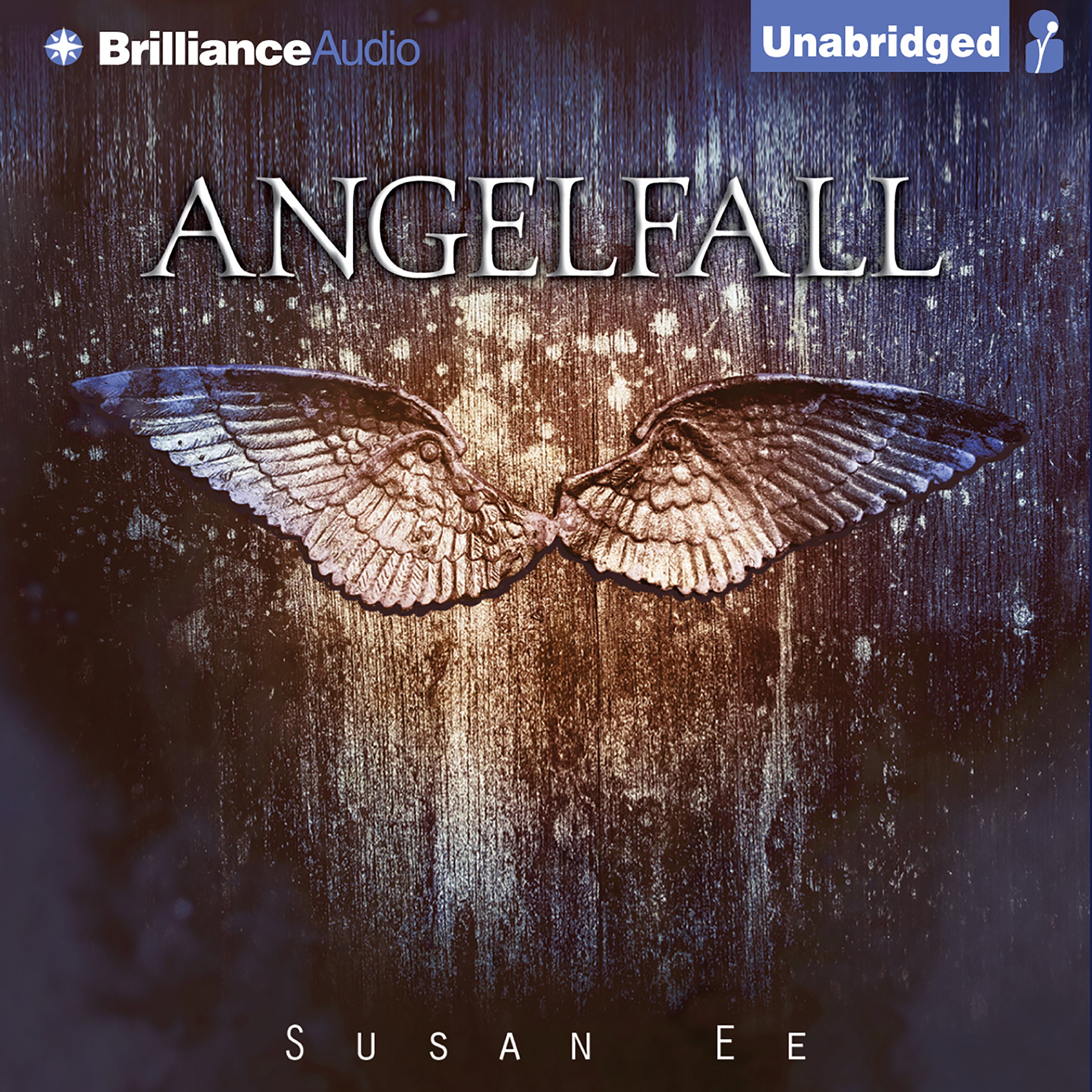 Angelfall
