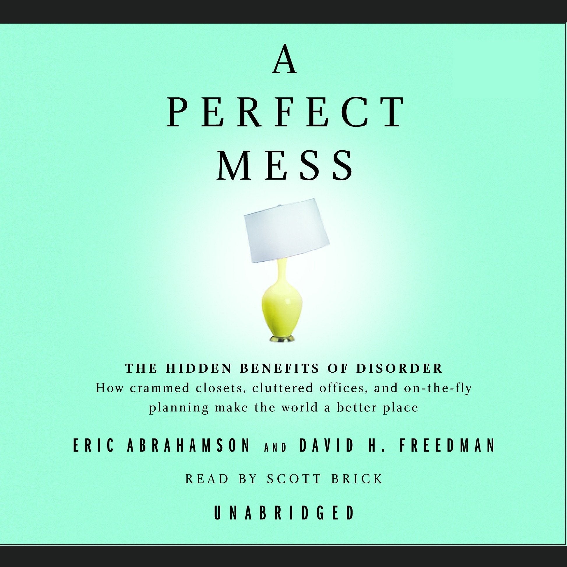 A Perfect Mess