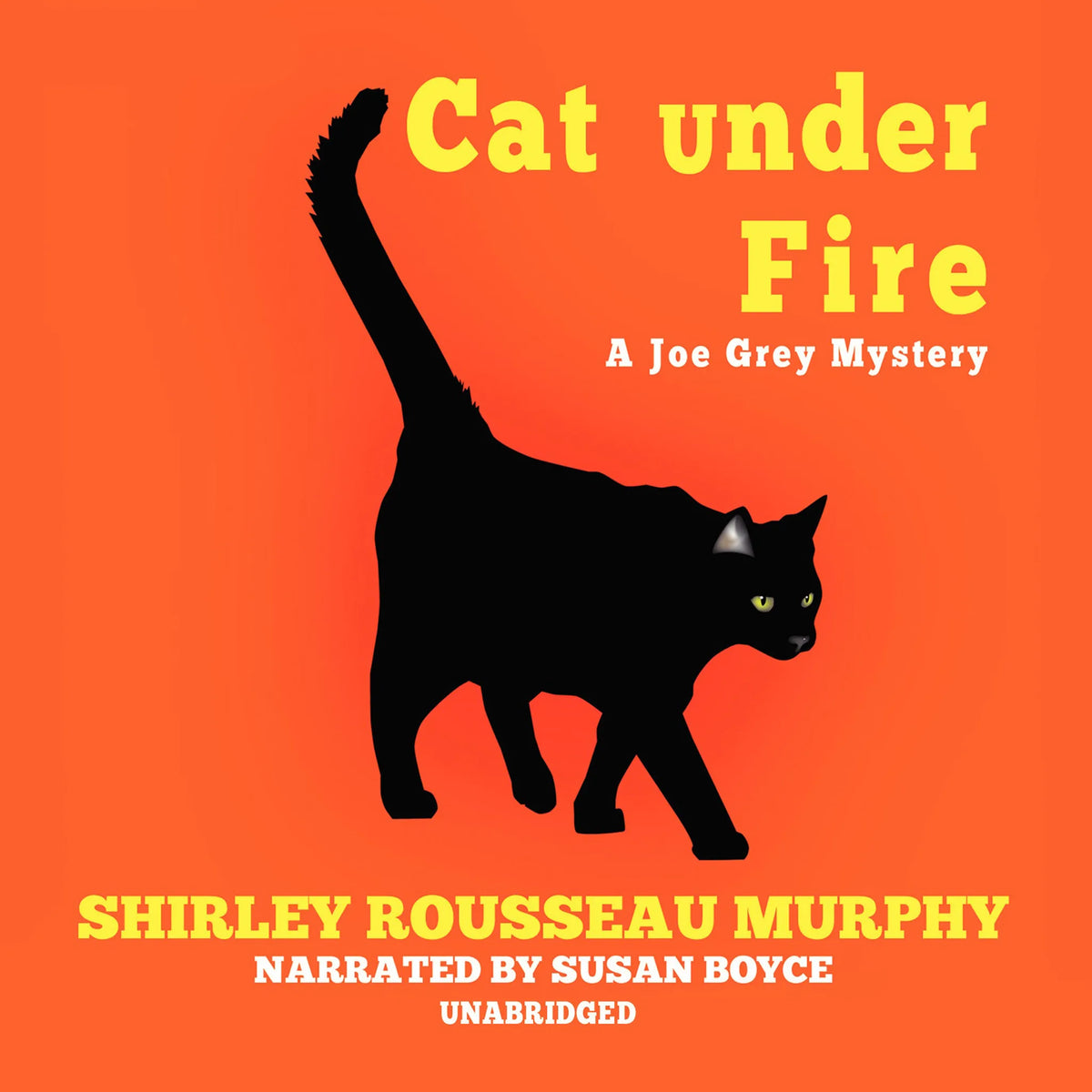 Cat under Fire