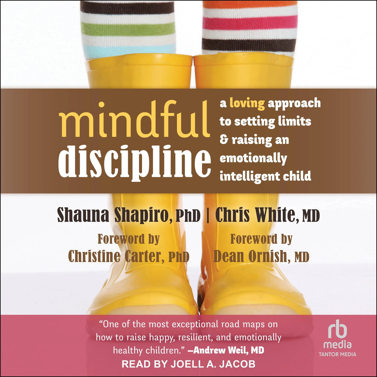 Mindful Discipline