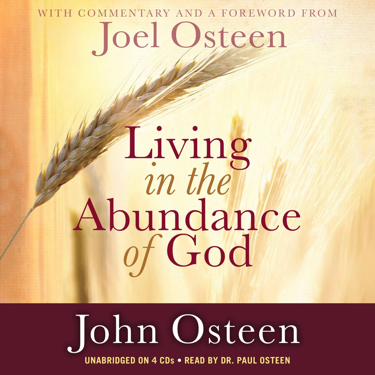 Living in the Abundance of God