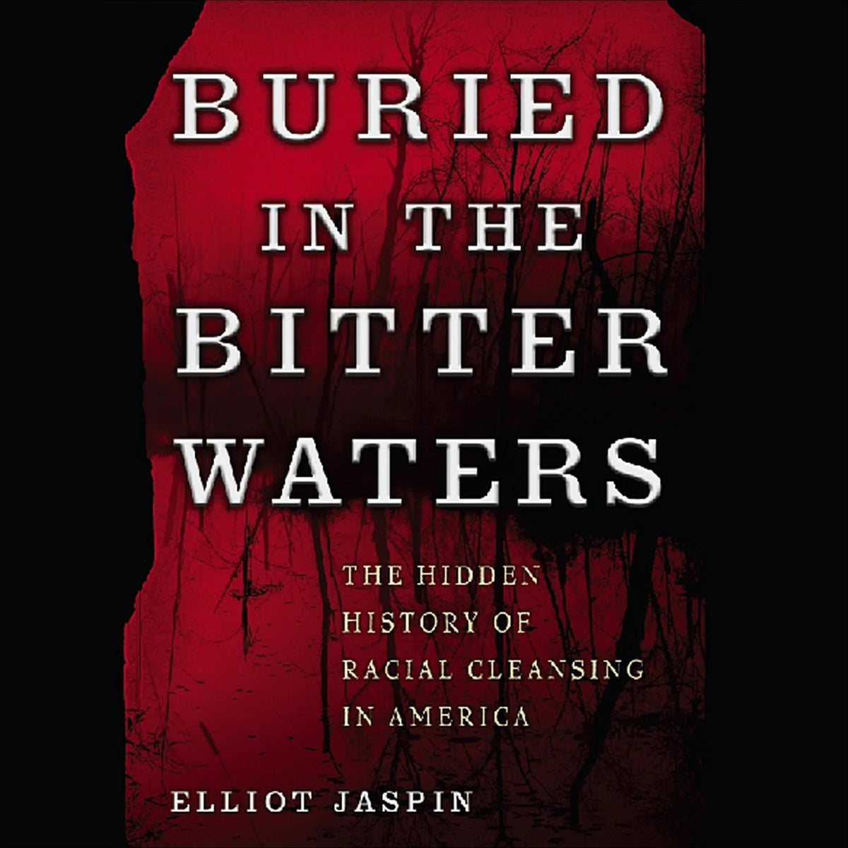 Buried in the Bitter Waters