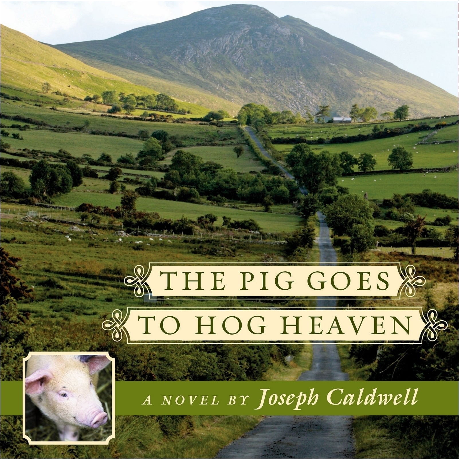 The Pig Goes to Hog Heaven