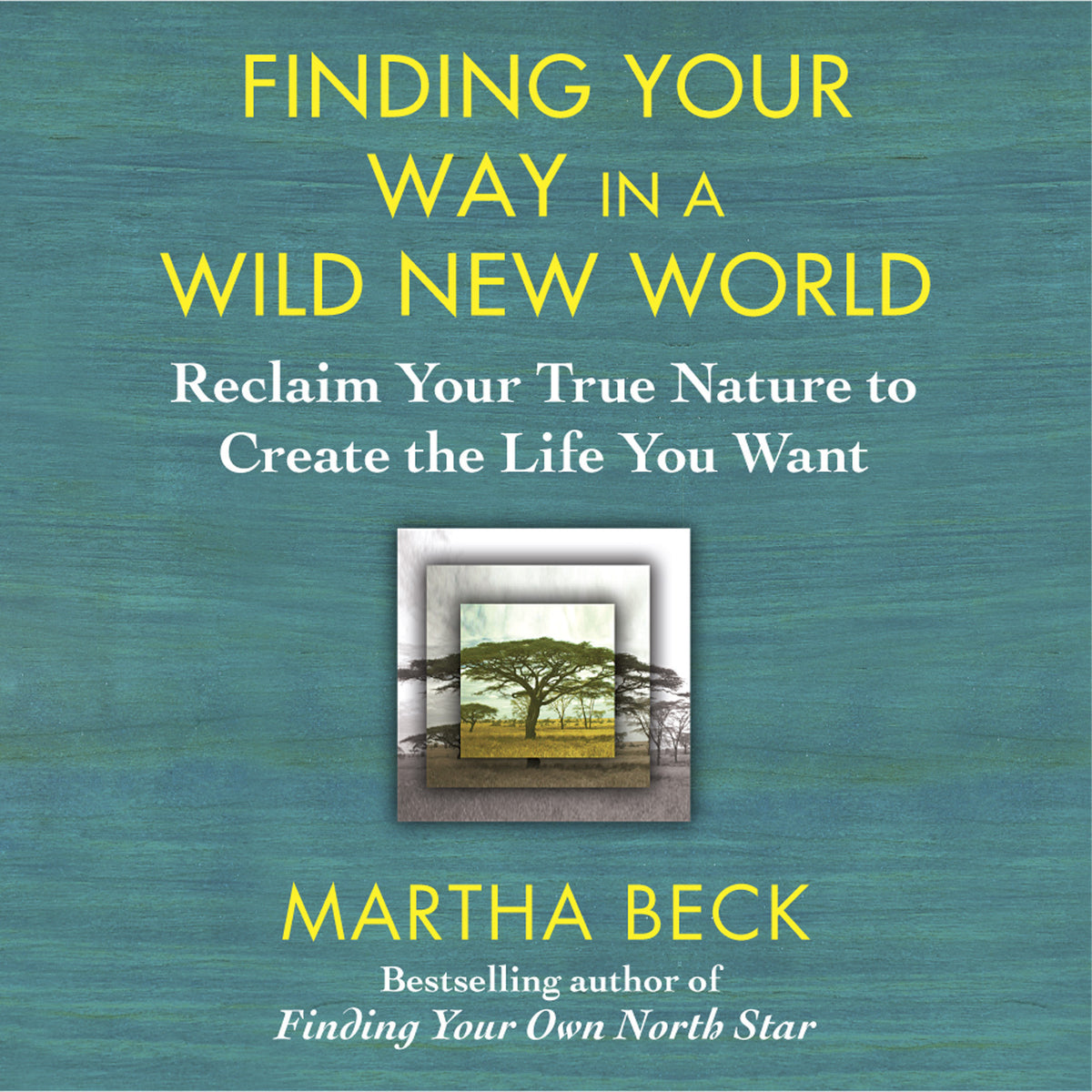 Finding Your Way in a Wild New World