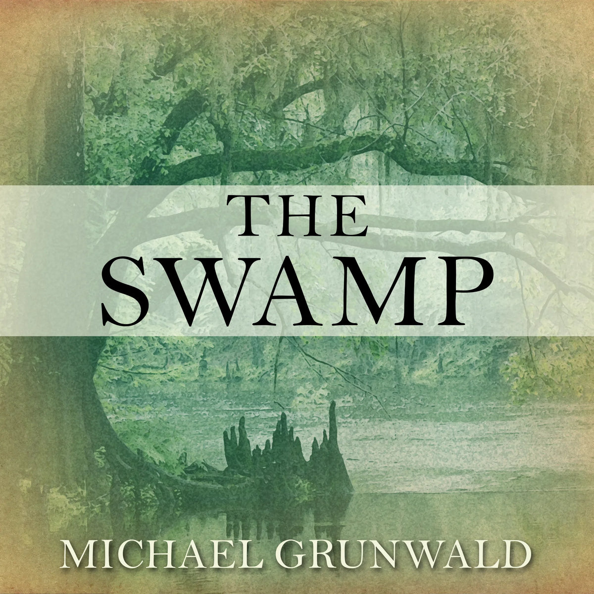 The Swamp