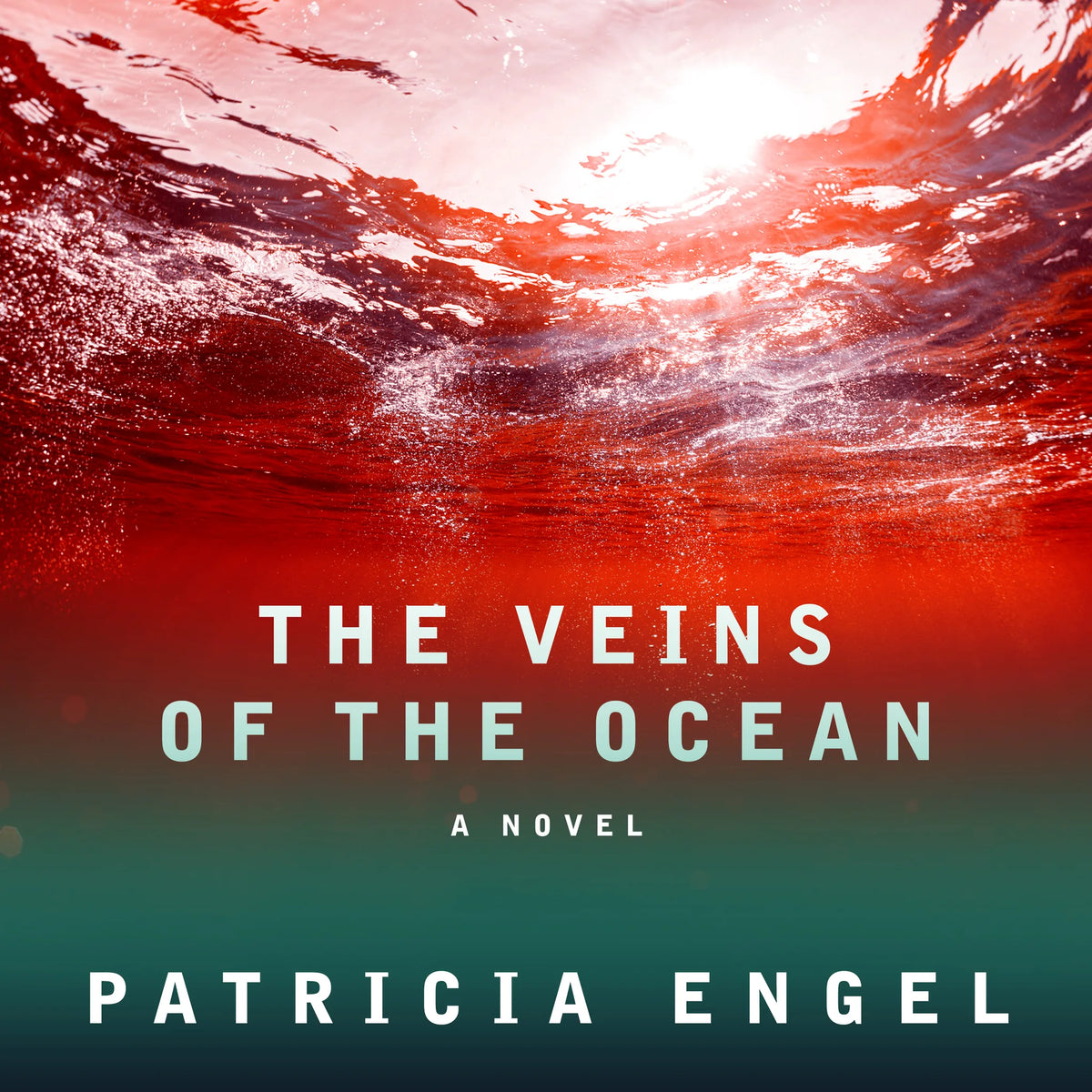 The Veins of the Ocean