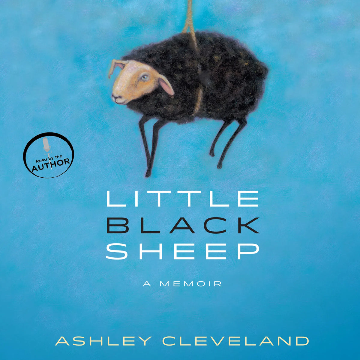 Little Black Sheep