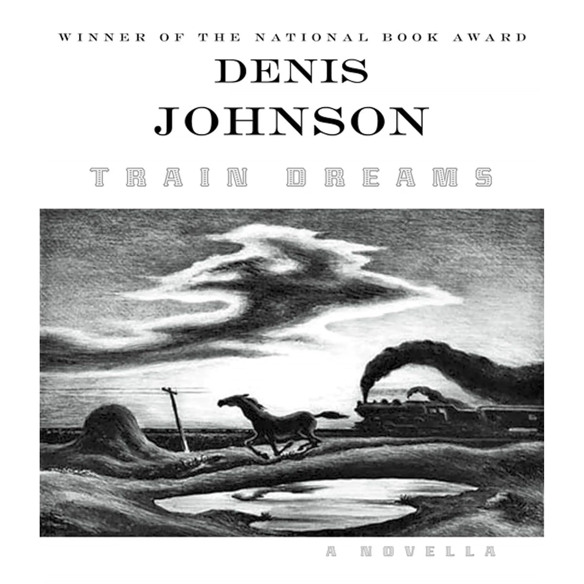 Train Dreams