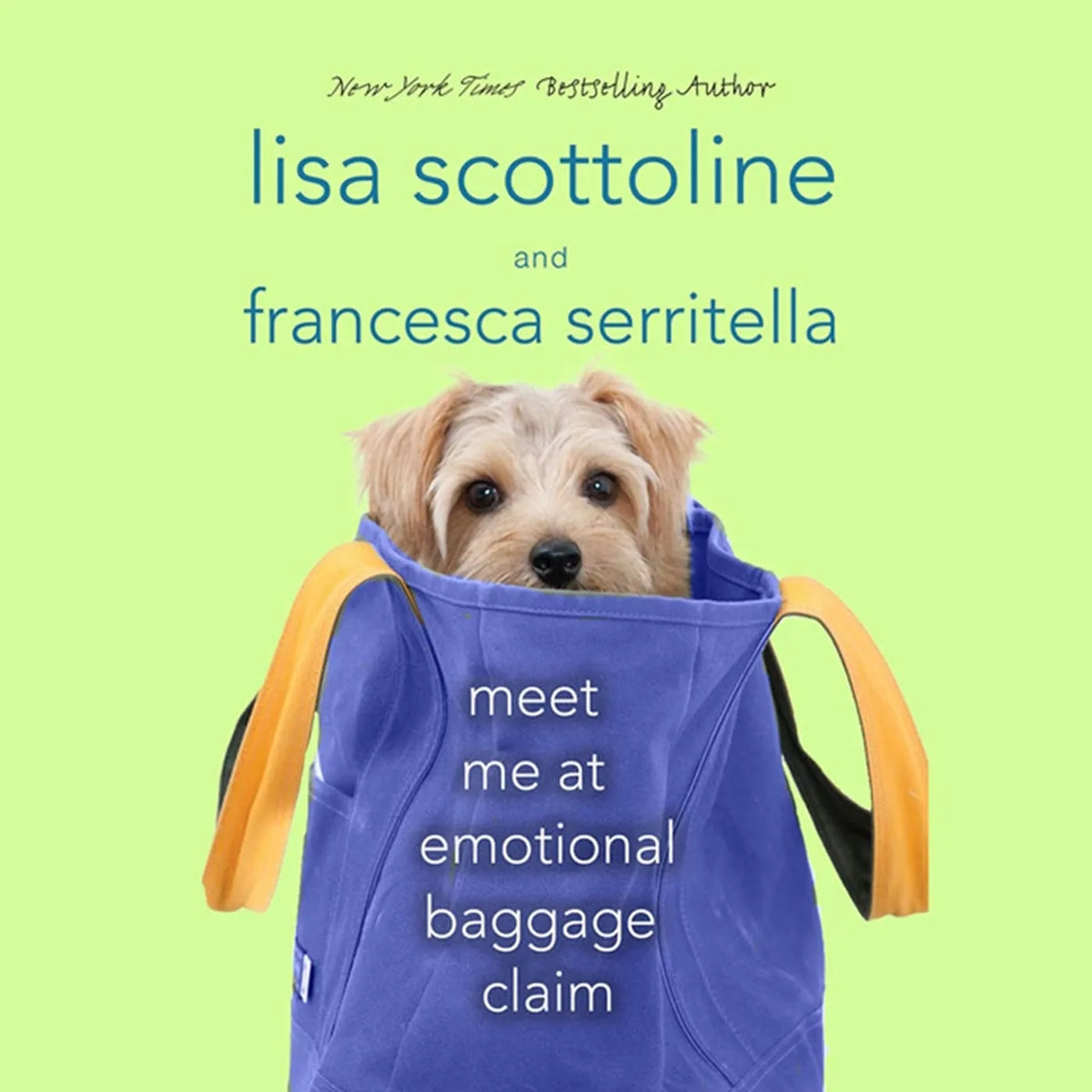 Meet Me at Emotional Baggage Claim