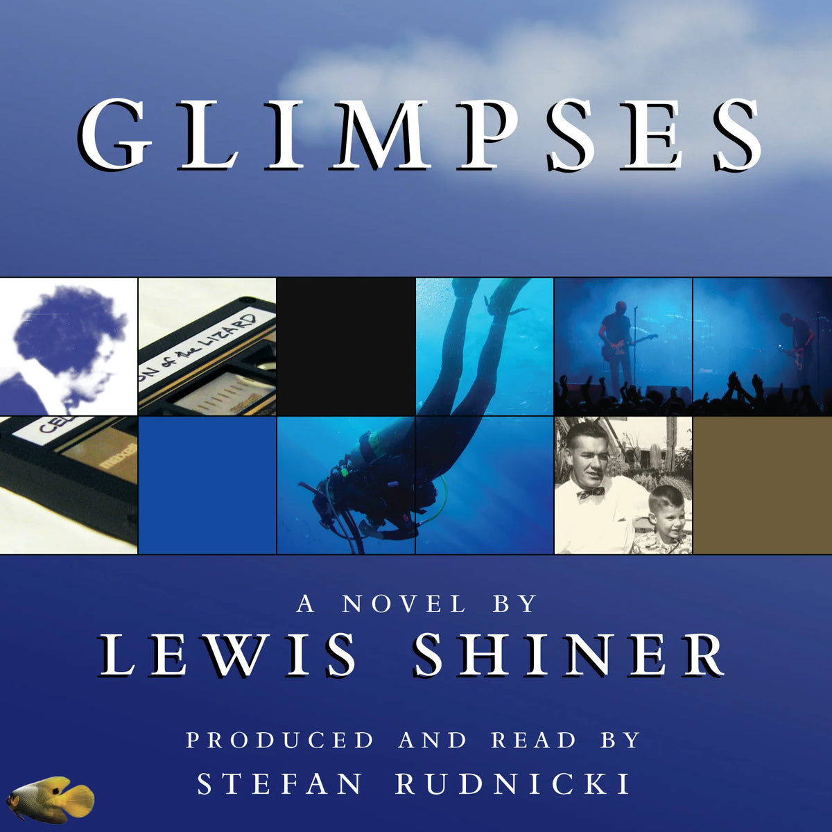 Glimpses