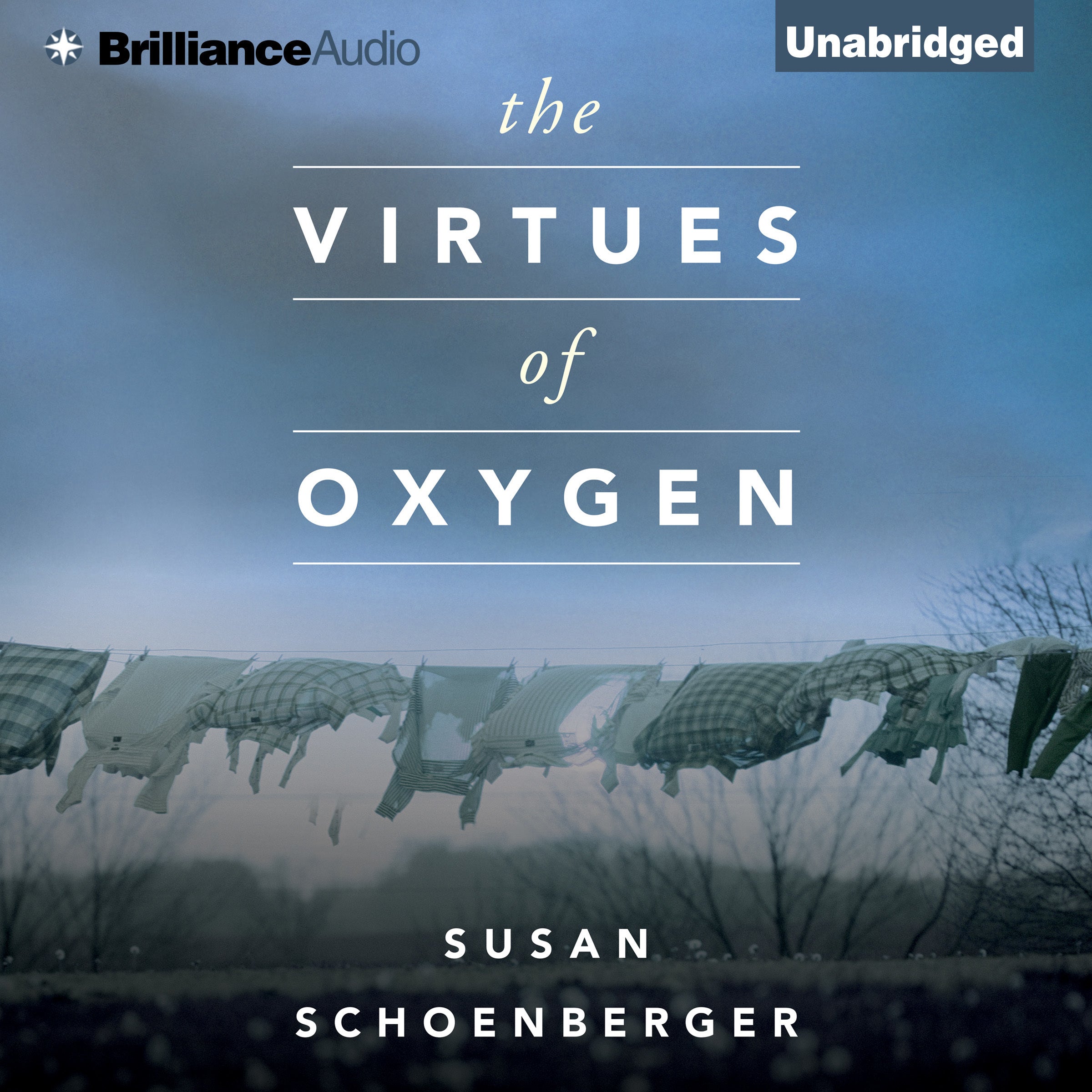 The Virtues of Oxygen