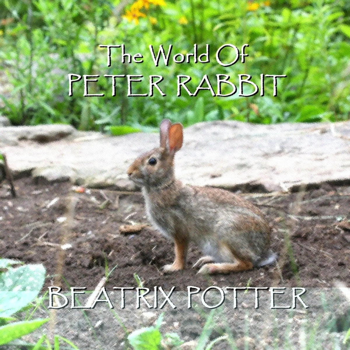 Beatrix Potter