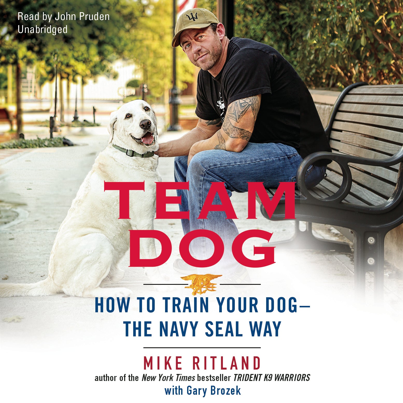 Team Dog