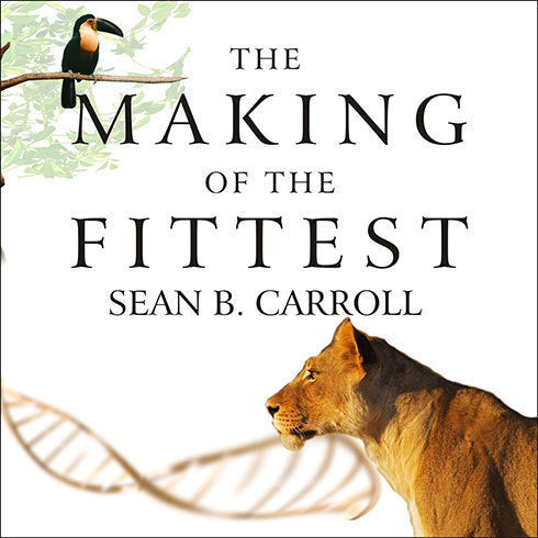 The Making of the Fittest
