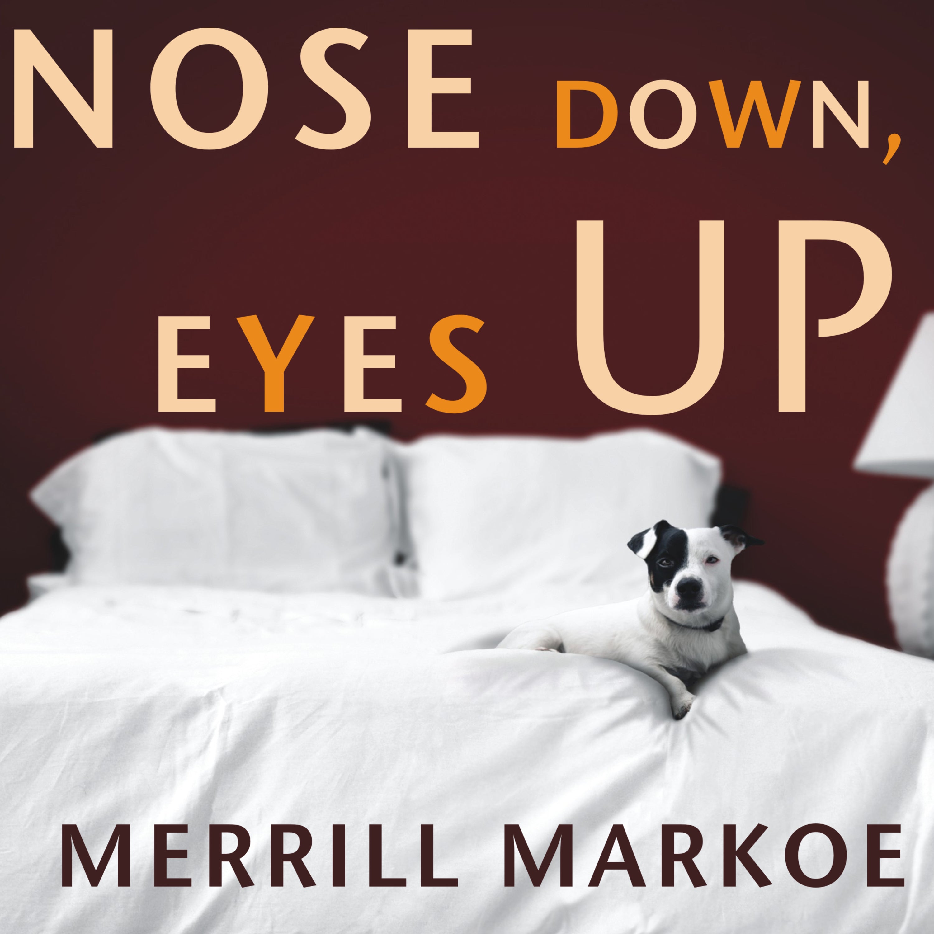 Nose Down, Eyes Up