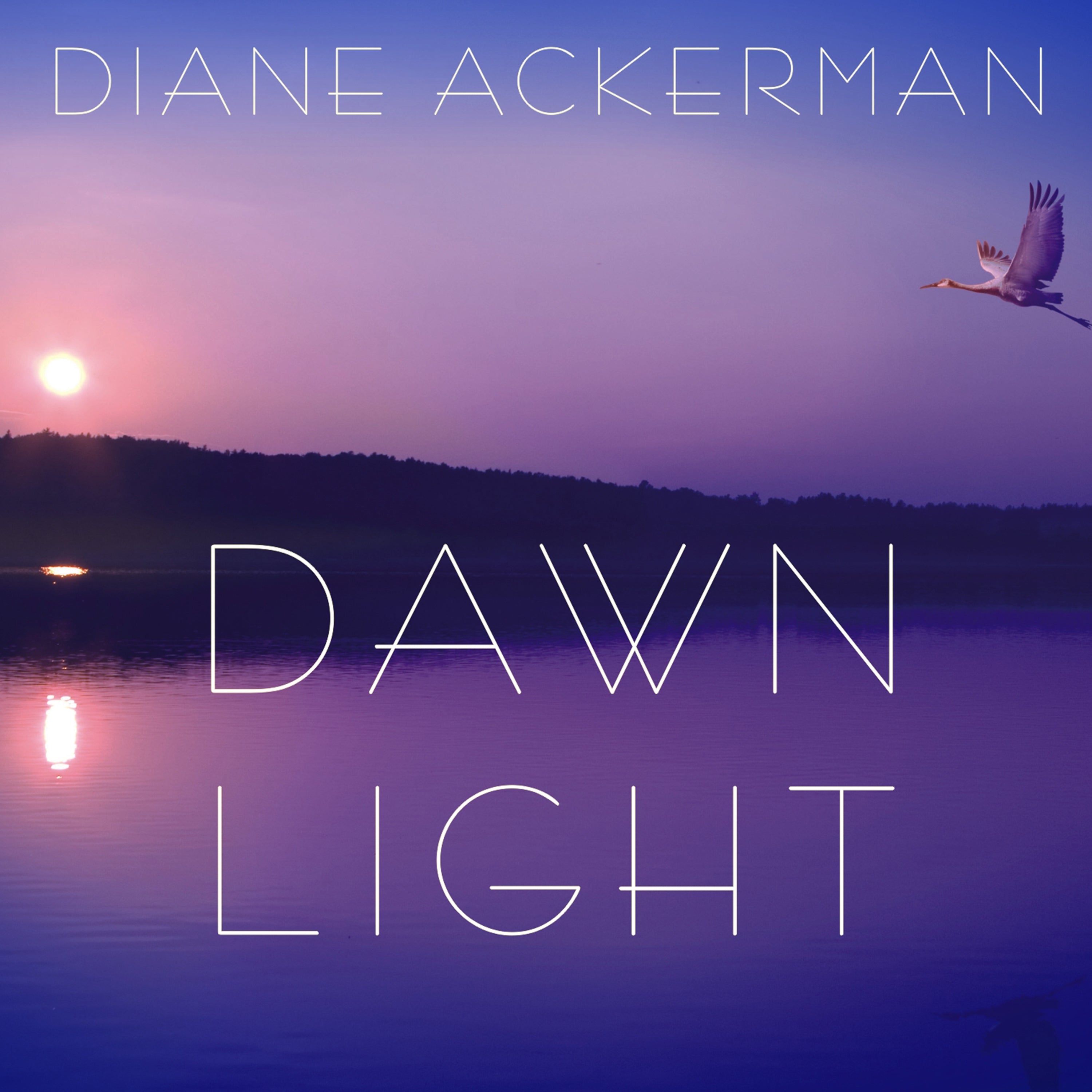 Dawn Light