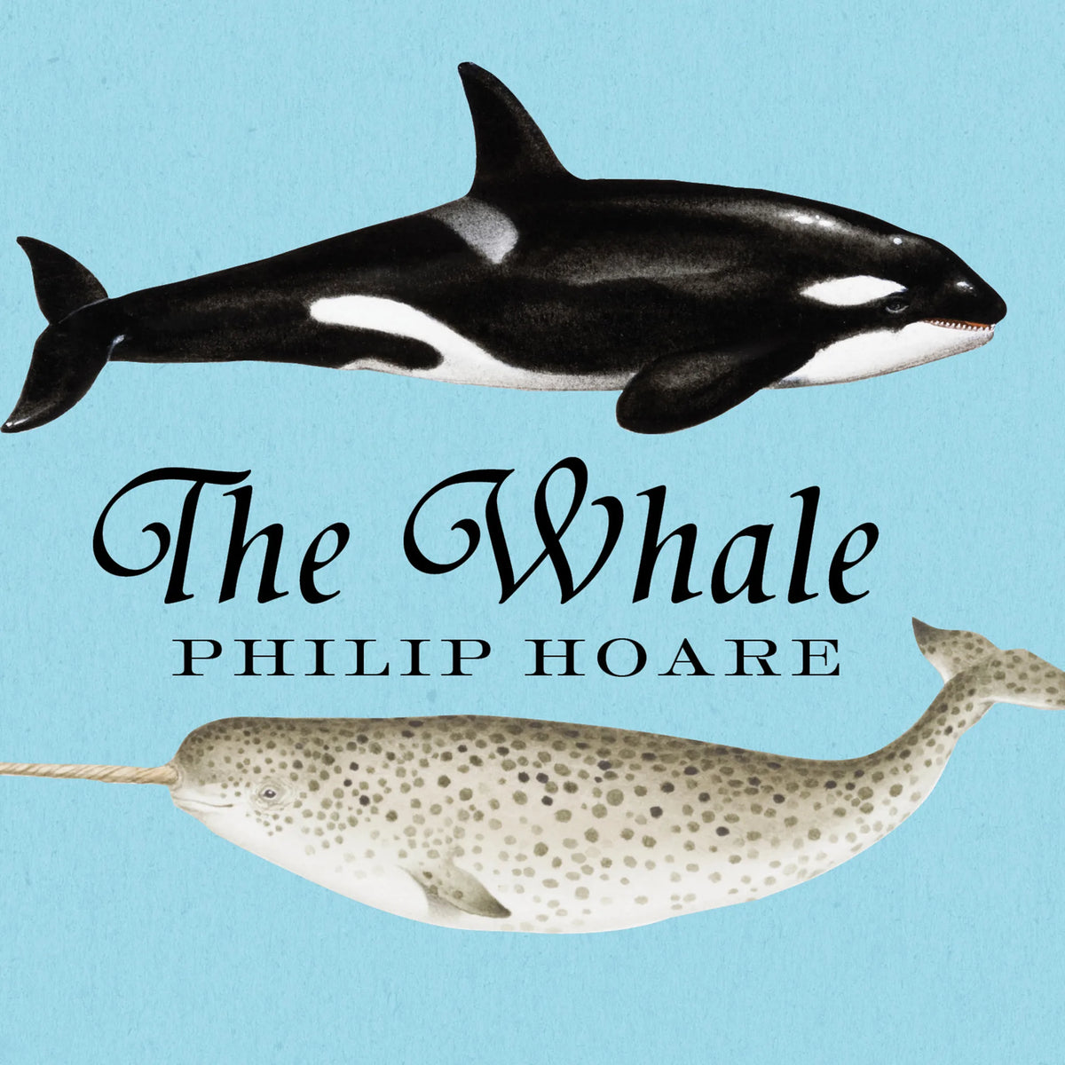 The Whale
