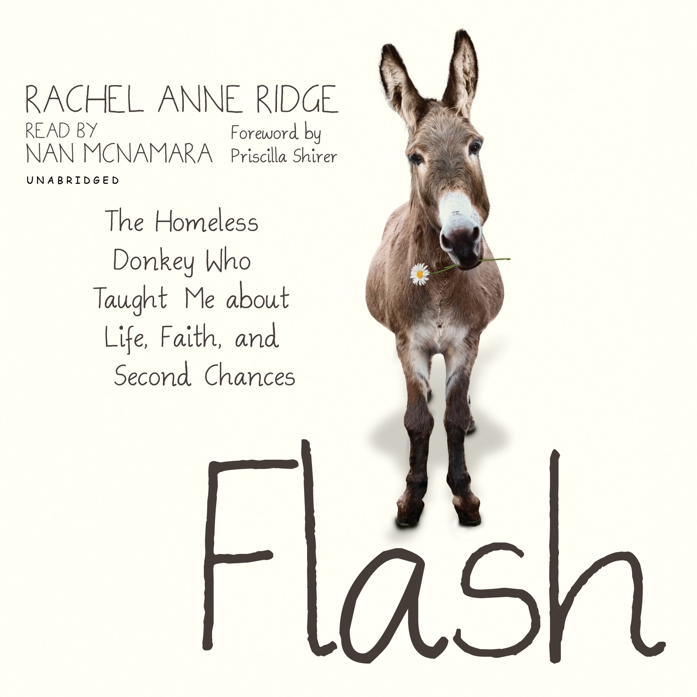 Flash