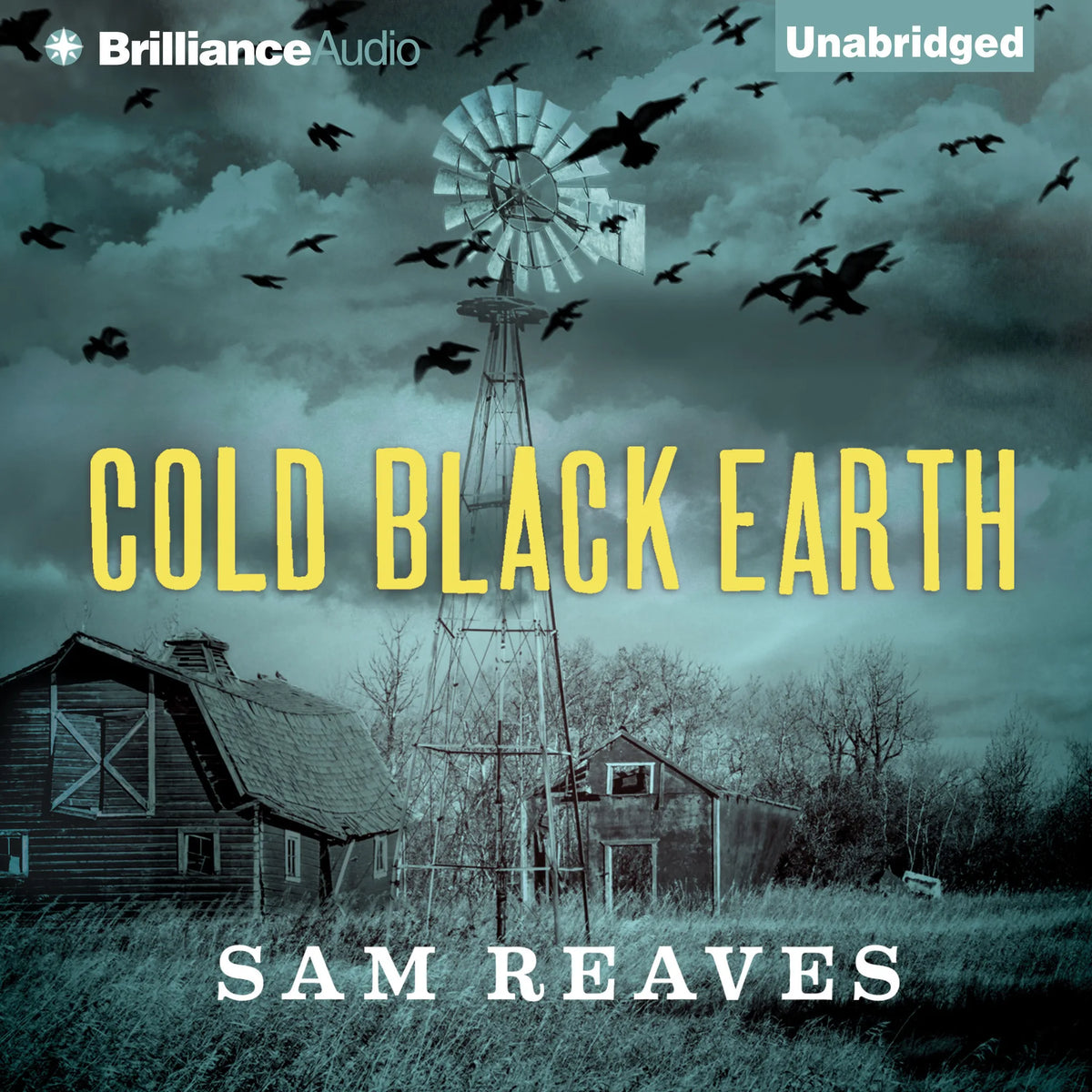 Cold Black Earth