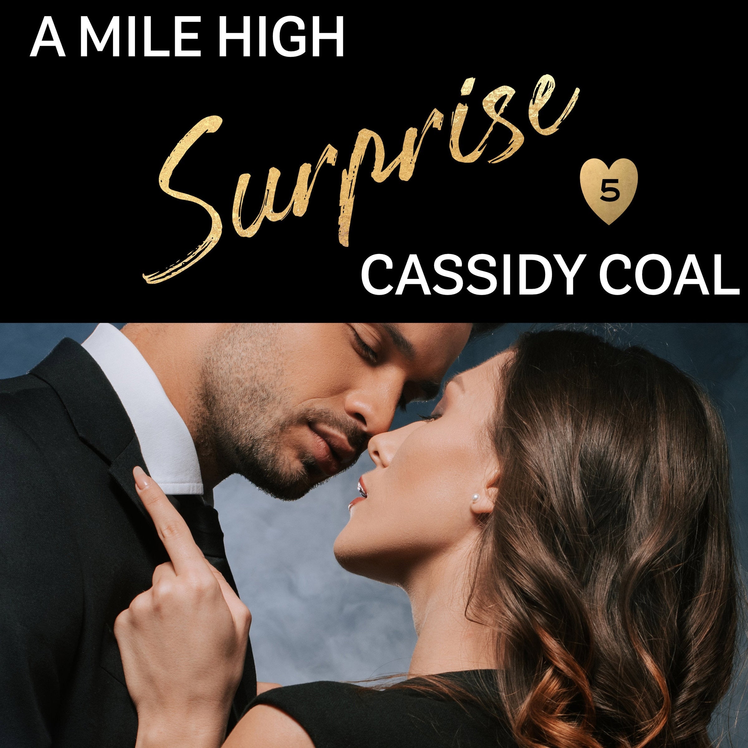 A Mile High Surprise (A Mile High Romance Book 5)
