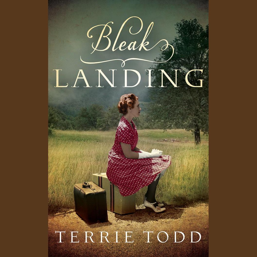Bleak Landing