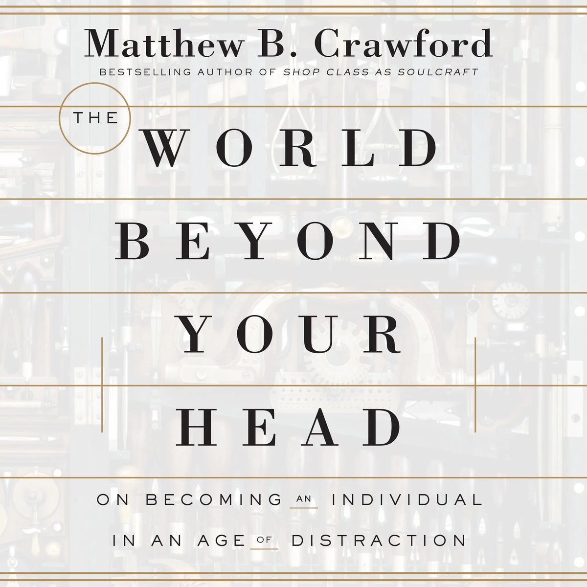 The World Beyond Your Head